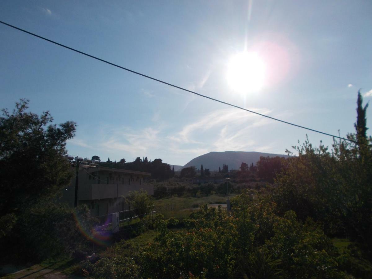 Summer Holidays In Laganas Apartments Εξωτερικό φωτογραφία